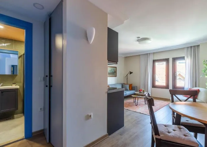 Gorgeous Airy 2bd2bath Bosphorus Views! #358 아파트 이스탄불